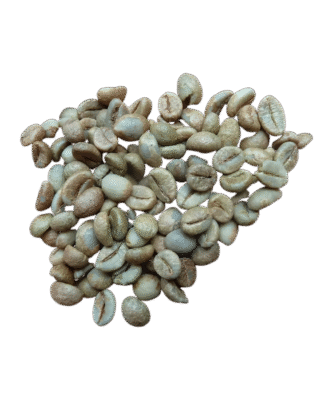 Robusta G1 S16 – 2% Hạt đen/vỡ