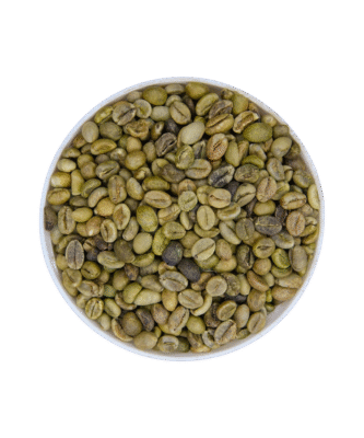 Robusta G1 S18 – 2% Hạt đen/vỡ
