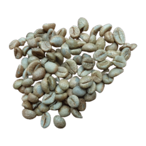 Robusta G1 S16 – 2% Hạt đen/vỡ